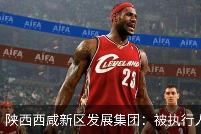 陕西西咸新区发展集团：被执行人的小秘密曝光！